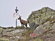 04 Al Passo-Bocca di Trona (2224 m)